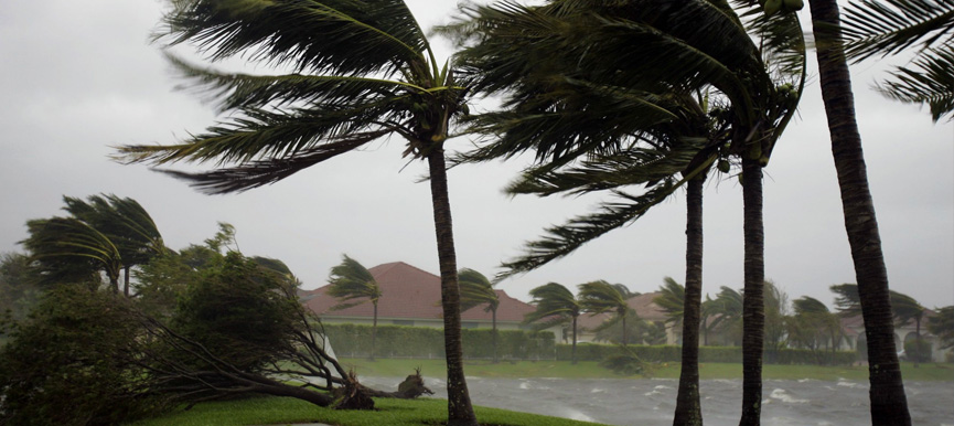Hurricane Preparedness for Homes and Businesses